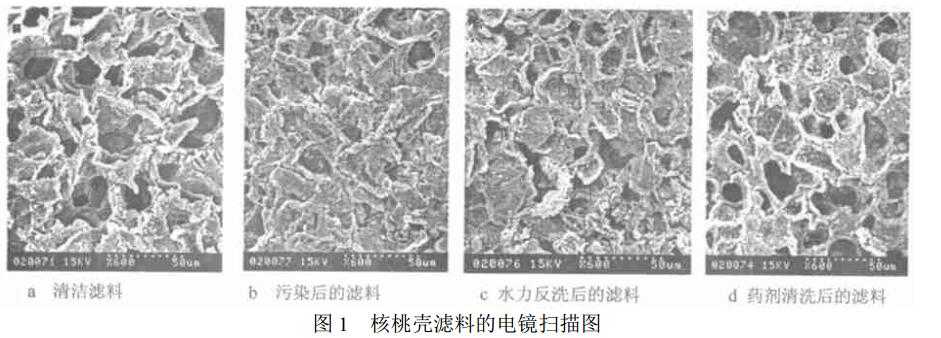 核桃壳滤料截污过程与污垢性质（下）